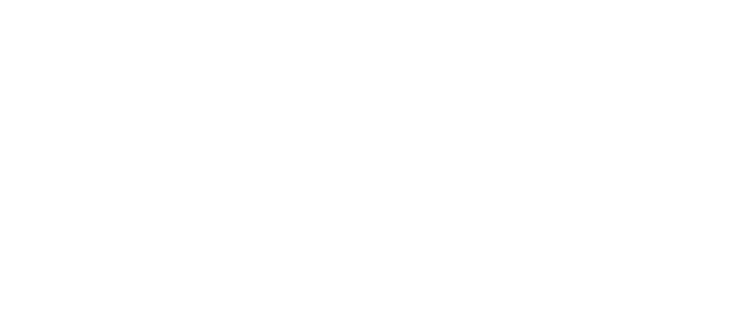 Freimi Visuals logo valkoinen.